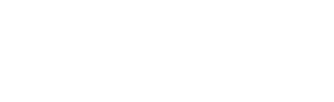 developer_logo